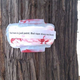 A sanitary napkin as seen on a tree at Delhi University.